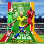 Cách Đọc Kèo